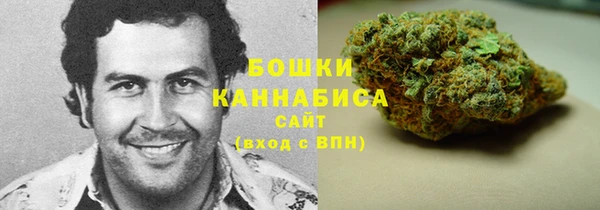 ПСИЛОЦИБИНОВЫЕ ГРИБЫ Михайловка