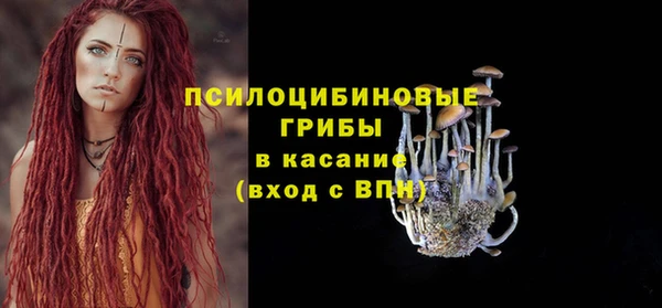 бошки Михайлов