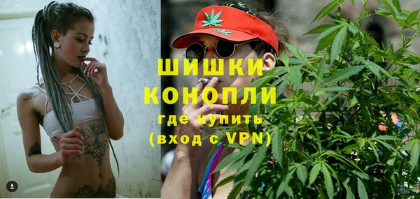 ПСИЛОЦИБИНОВЫЕ ГРИБЫ Михайловка
