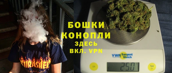 ПСИЛОЦИБИНОВЫЕ ГРИБЫ Михайловка