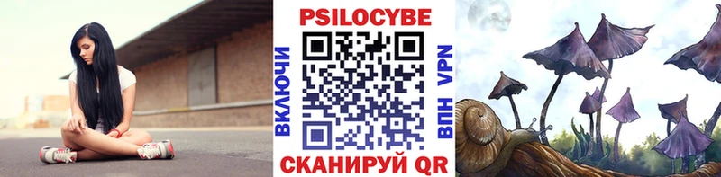 Псилоцибиновые грибы прущие грибы  Родники 
