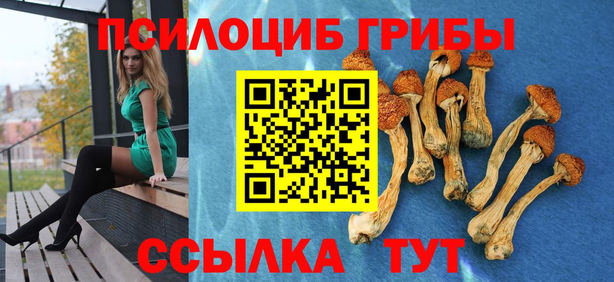 Галлюциногенные грибы прущие грибы Родники