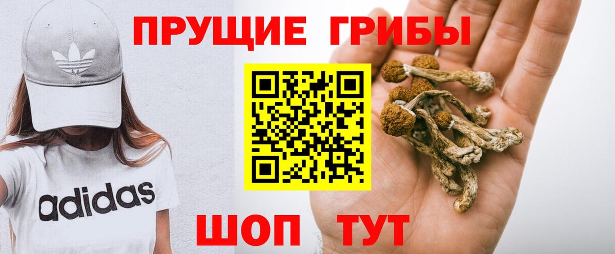 Галлюциногенные грибы ЛСД  Псилоцибиновые грибы Cubensis  Родники  Вход с VPN 